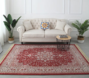 Un tapis au style vintage de couleur rouge dans un salon