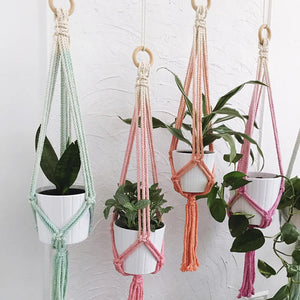 Suspension plantes macramé couleur